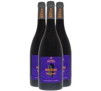 Vin de Savoie Mondeuse Face au Fort - Rouge 2024 - Philippe et Sylvain Ravier - Vin Rouge de Savoie - Bugey (3x75cl)