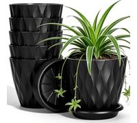 VINATO Lot de 6 Pots de Fleurs Noirs avec Soucoupes, Cache-Pots Intérieur 10cm, en PP Résistant - pour Succulentes, Herbes Aromatiques et Plantes Vertes