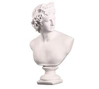 Vinbcorw Sculpture de réplique de Statue de Buste de David, Dessin d'artisanat Pratique pour Artiste de Figurine en plâtre 31X19X14cm,Blanc