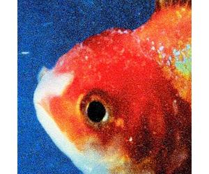 Vince Staples - Big Fish Theory [Double Vinyle Picture disc]