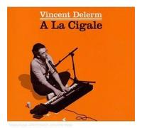 Vincent Delerm À La Cigale