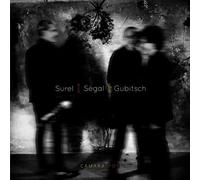 Vincent Ségal - Camara Pop