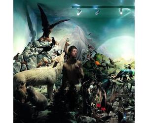 Vincent Taurelle - Ersatz - Edition collector (1 CD + 1 DVD)