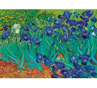 Vincent Van Gogh - Irises, 1889 - Puzzle 1000 Pièces