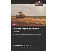 Vincere appalti pubblici in Africa: Una guida operativa per la redazione di offerte tecniche e finanziarie vincenti