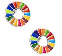 Vinciann Lot de 2 broches en émail pour objectif développement durable 17 couleurs cadeau durable SDGs SDG idée cadeau écologiste 2,3 x 2,3 cm, Small, Zinc, No Gemstone