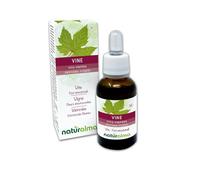 Vine ou Vigne (Vitis vinifera) Remèdes floraux Naturalma - Gouttes 30 ml - Extrait liquide sans alcool - Essences florales - Vegan et sans alcool
