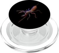 Vinegaroon Thelyphonida Cravache Scorpion PopSockets PopGrip pour MagSafe