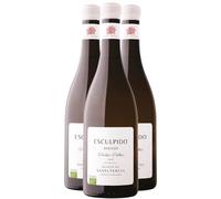 Vinho Verde Avesso Esculpido Vinhas Velhas - Blanc 2021 - Quinta Santa Teresa - Vin Blanc duPortugal (3x75cl) BIO