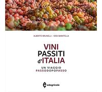 Vini passiti d'Italia. Un viaggio passo dopo passo. Ediz. a colori