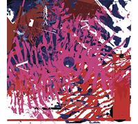 Vinicio Adamesamazonia - Amazonia (1987 Reissue 7inch)