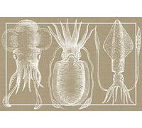 VINILIKO Tapis en Vinyle Sepias Calamares
