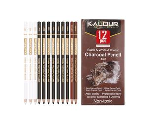 VINSPIRE Lot de 12 crayons à charbon de bois mélangés - Crayons de fusain noirs, blancs et de couleur pour croquis, ombrage et dessin de portrait, fournitures artistiques pour débutants et