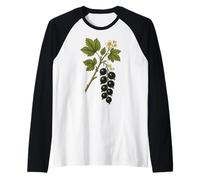 Vintage Botanical Groseille Noire Nature Art Print Manche Raglan