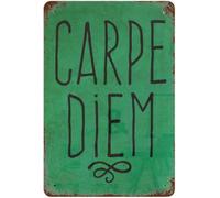 Vintage Carpe Diem Typography Tin Sign Timeless Daily Inspiration for Home Office Gym Studio Bathroom Wall-Art 8 X 12 inch