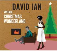 Vintage Christmas Wonderland