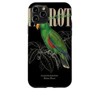 Vintage Eclectus Perroquet Observation des Oiseaux Nature Amour Oiseaux Coque pour iPhone 11 Pro
