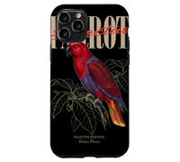 Vintage Eclectus Perroquet Observation des Oiseaux Nature Amour Oiseaux Coque pour iPhone 11 Pro