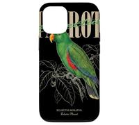 Vintage Eclectus Perroquet Observation des Oiseaux Nature Amour Oiseaux Coque pour iPhone 12/12 Pro