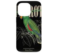 Vintage Eclectus Perroquet Observation des Oiseaux Nature Amour Oiseaux Coque pour iPhone 13 Pro