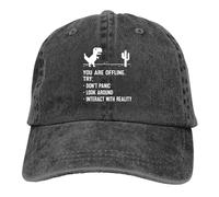 Vintage et classique Vous êtes hors ligne Drôle Basse Résolution Pixel Dinosaure Casquettes de baseball Casquette à pointe Ordinateur Cpu Core Sun Shade Chapeaux pour hommes durable et confortable