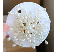 Vintage Exquisite Brooch Female Temperament Suit Jacket Pearl Accessories Brooch Jewelry Corsage Winter Wedding Elegant Dress (C)