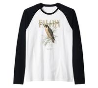 Vintage Faucon pèlerin Oiseau Art Nature Observation Manche Raglan
