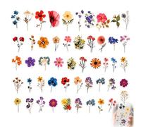 Vintage Fleurs Autocollants Set de 50 Pièces, Esthétique Fleurs Sèches Autocollants PET Imperméable À L'eau, Pas de Décoration Résiduelle, Adapté pour Scrapbooking Magazine Ordinateur Portable Valise