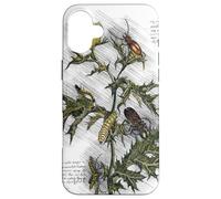 Vintage Flower Design Botanical Sketch Cottagecore Aesthetic Coque pour iPhone 16 Plus