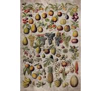 Vintage Fruits and Nuts Undated Planner Weekly and Monthly: Minimalist Calendar Organizers, goal, to do list