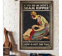 Vintage If You See Me with A Seam Ripper Now is Not The Time Affiche en métal aluminium Décoration murale 20,3 x 30,5 cm