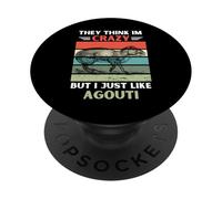Vintage Ils pensent Que Je suis Fou mais J'aime Juste Agouti Lover PopSockets PopGrip Adhésif