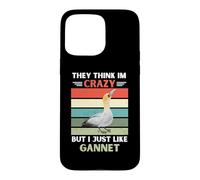 Vintage Ils pensent Que Je suis Fou mais J'aime Juste Fou de Bassan Coque pour iPhone 15 Pro Max