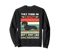 Vintage Ils pensent Que Je suis Fou mais J'aime Juste Les Amoureux des teckels Sweatshirt