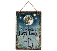 Vintage Metal Dragonfly - Moon Decorative Pendant, Rustic Sign For Home