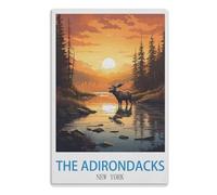 Vintage Metal Tin Sign Plaque Poster Retro Metal Wall Decorative Tin Painting Signs for Home Kitchen Bar Coffee Shop Club Orchard Decoration,The Adirondacks New York 15x30cm
