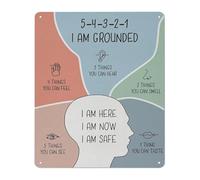 Vintage Metal Tin Sign Psychological Grounding Method Wall Decor Coping Skill Plaque For Counselor Office Safe Space 8 X 12 inch