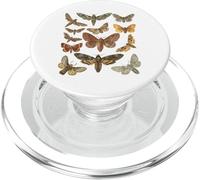 Vintage Moth Cottagecore Esthétique Goblincore Dark Academia PopSockets PopGrip pour MagSafe