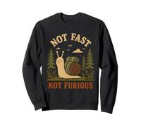 Vintage Not Fast Not Furious Funny Snail Retro Sweatshirt