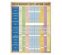 Vintage Plaque Style Tooth Meridian Organ Chart Dental Knowledge Poster for Wall Decor Office Club(Unframed,16x24inch(40x60cm))