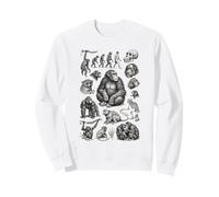 Vintage Primate Evolution Singes Singes Biologie Sweatshirt