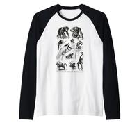 Vintage Singes, singes, chimpanzé, Primates, évolution Biologie Manche Raglan