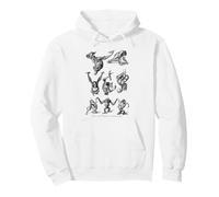 Vintage Singes Singes Chimpanzé Primates Evolution Biologie Sweat à Capuche