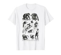 Vintage Singes, singes, chimpanzé, Primates, évolution Biologie T-Shirt Graphique avec Valeur