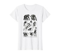 Vintage Singes, singes, chimpanzé, Primates, évolution Biologie T-Shirt Graphique avec Valeur, Femme, Blanc, S