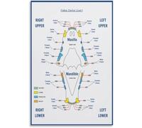 Vintage Style Cat Chart Retro Poster for Veterinary Office Decor Canvas Painting Wall-Art Gift