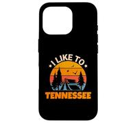 Vintage Sunset Tennessee, Hiking Camping, Outdoors Tennessee Coque pour iPhone 16 Pro