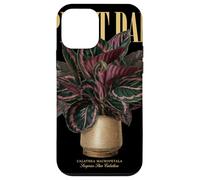 Vintage Surprise Etoile Calathea Plante Papa Nature Flora Jardin Coque pour iPhone 12 Mini
