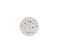 Vintageparts Connecteur signe du zodiaque Aquarius (Verseau) 15 mm Couleur platine | Plaque en acier inoxydable avec 2 trous de filetage de 1,7 mm pour bracelets et colliers