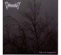 VINTERRIKET - Wege in die Vergangenheit